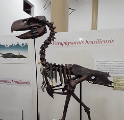 Foto do Museu de História Natural da Cidade de Taubaté